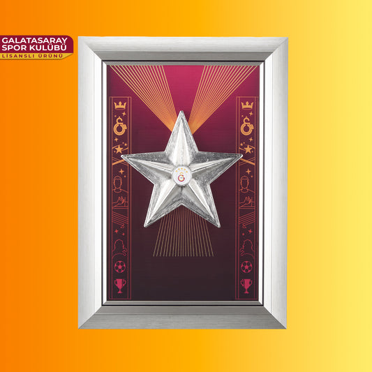 StarFan Duvar Tipi Premium Plaket 1